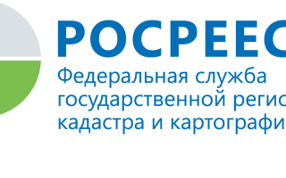 Росреестр личный кабинет через Госуслуги: как войти и зарегистрироваться, возможности системы