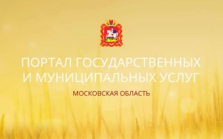 Регистрация и вход в личный кабинет на сайт Госуслуг Московской области: все услуги